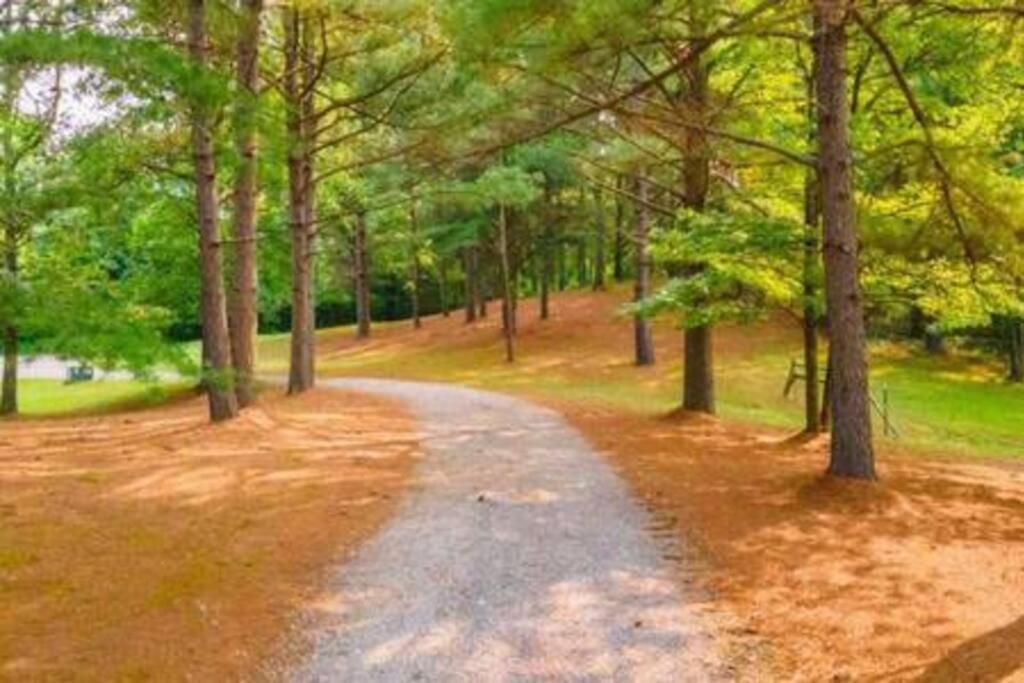 Fawn Run On Lake Cumberland Nancy ภายนอก รูปภาพ